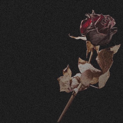 Fallen Rose (feat. Jay53 & KidZurc) - Single