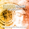 Buddhatronic - the Compilation, Vol. IV (Best of Mystic Bar Sound Meets Buddha Chill out Lounge)