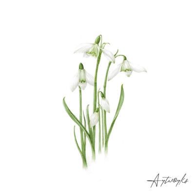 Revelation - Single