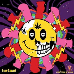 Feel the Groove - Single