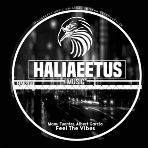Feel the Vibes - Single