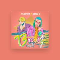 Pazifiko & Axhel