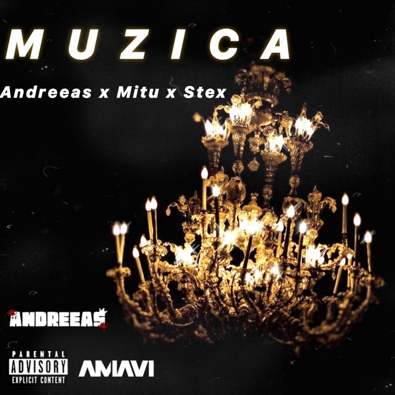 Muzica (feat. Mitu & Stex) - Single