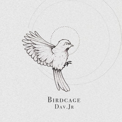 Birdcage - Single