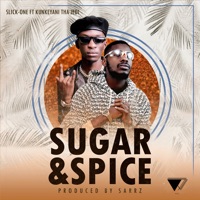 Sugar & Spice (feat. Kunkeyani Tha Jedi) - Single - Slick-One