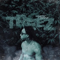 Treez - Lamere Treez