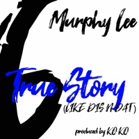 True Story (Like Dis Like Dat) - Single - Murphy Lee