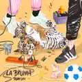 La bruma