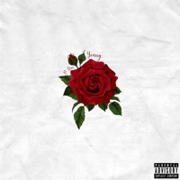 Young - Single - P Doc