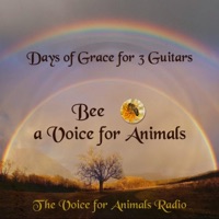 Days Of Grace 3 Guitars