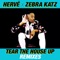 Tear the House Up (Jay Robinson Remix) - Zebra Katz & Herve lyrics