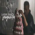 Pogazila