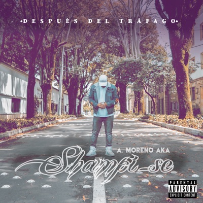 Después del Tráfago - Single