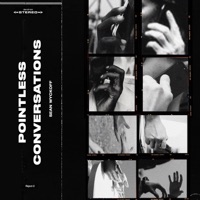 Pointless Conversations - Single - Sean Wyckoff