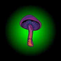 Mush (feat. Akxl) - Single - Poke Eyes