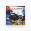 DJ Flavours