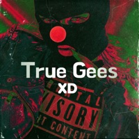 True Gees xd - Single - N1do