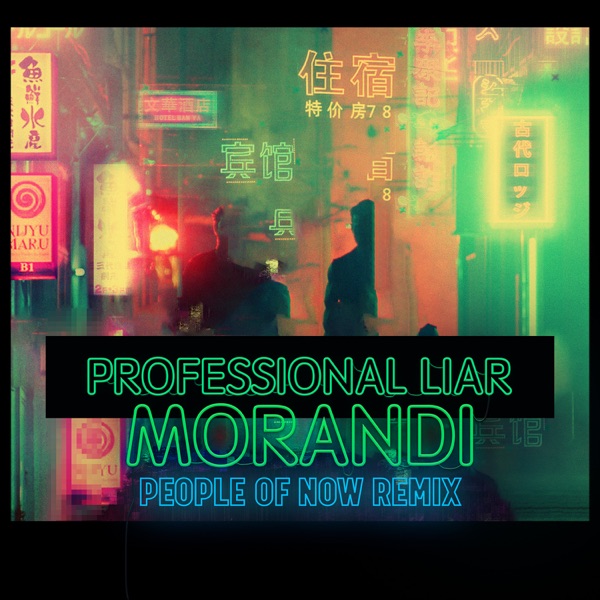 Professional Liar (People of Now Remix) - Single
