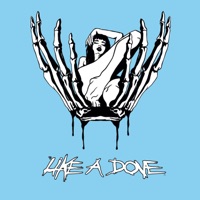 Like A Dove - Single - Fantasy Camp & Zubin