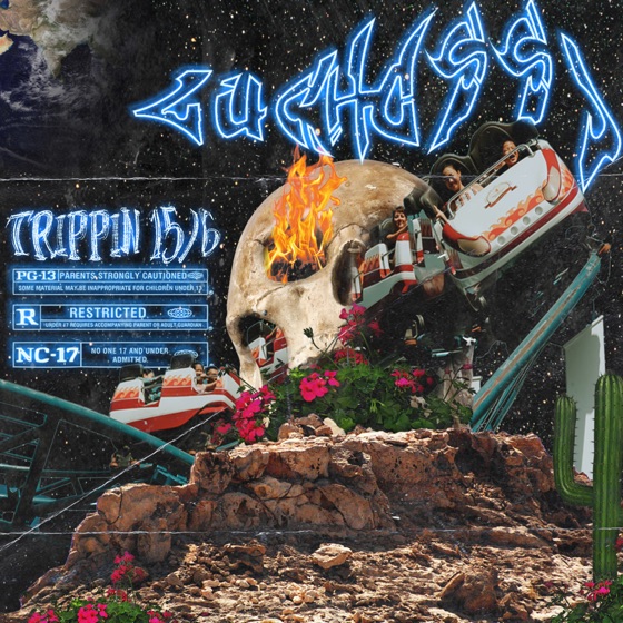 Cover artwork for Trippin