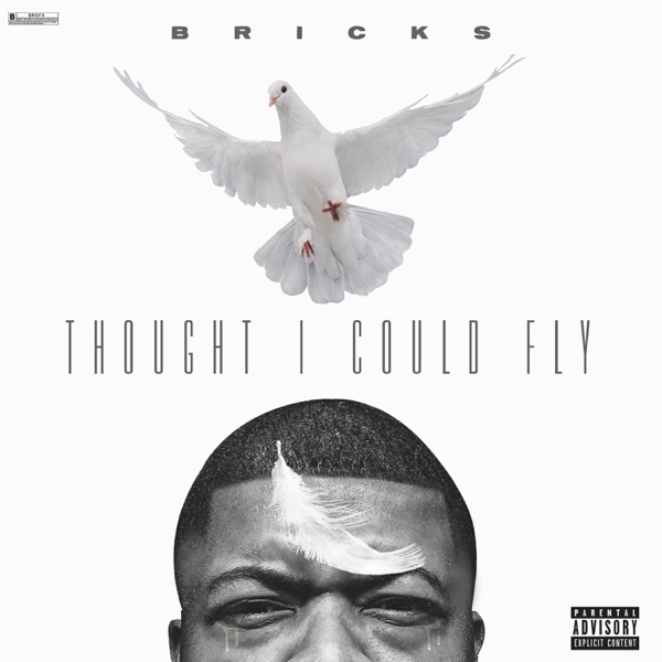 Thought I Could Fly