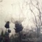 Mpt - Tamer Isli Projects lyrics
