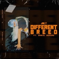 Different Breed (feat. Daniel Bukuru) - Single - Jae.T