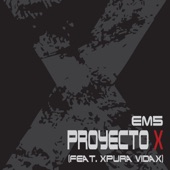 Proyecto X (feat. Xpura Vidax) artwork