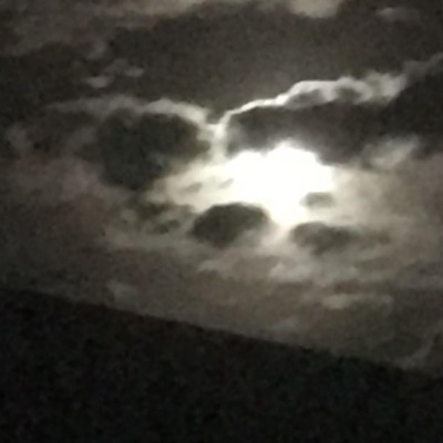 Betrayal (feat. Heffie) - Single