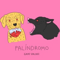 Palíndromo - Single - Gayo Valdez