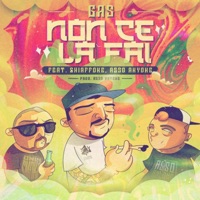 Non ce la fai (feat. Skiaffone & Asso Anyone) - Single - Gas