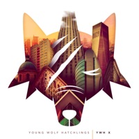 Ywh X - Single - Young Wolf Hatchlings