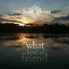 Scott Dever - Peace Like a River