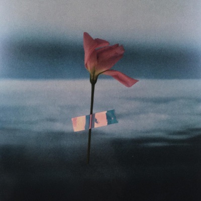 Lacuna - Single