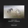 Stream & download Crazy Horse - Single