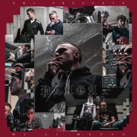 Mi Ci Metto (feat. Plaga) - Single - SWF
