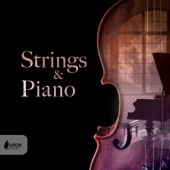 Strings & Piano artwork