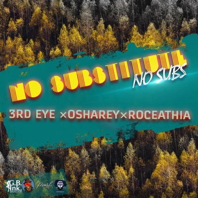 NO SUBS (feat. Osharey & Roceathia) - Single
