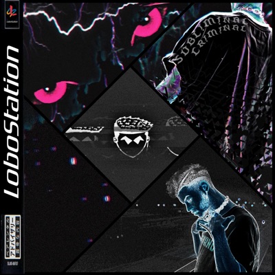 Subliminal Criminal - Single