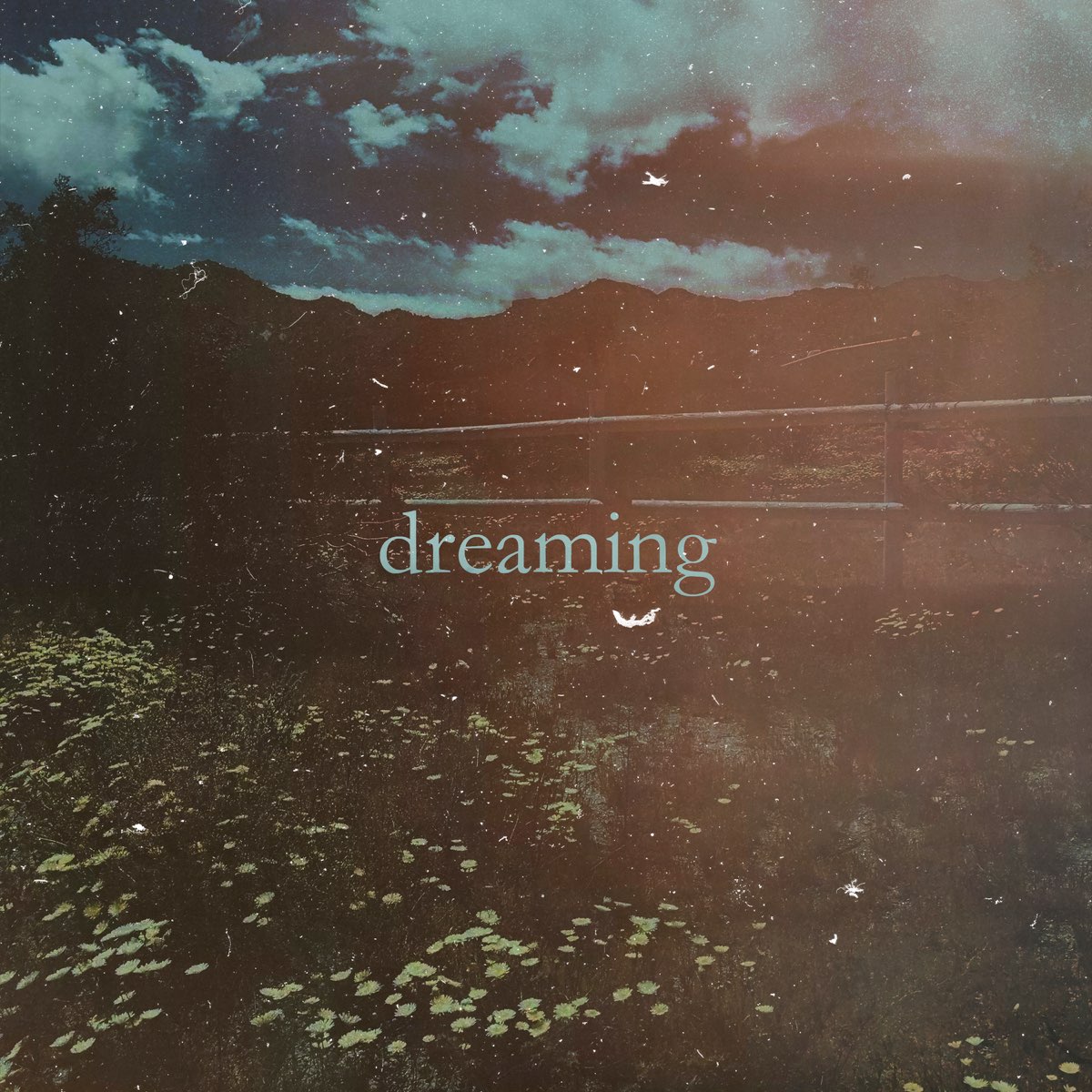 Dreaming single