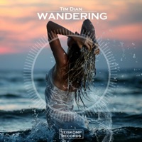 Wandering - Single - Tim Dian