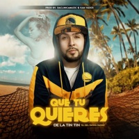 Que Tu Quieres - Single - Lio de la tinta