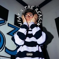 What's the Reason - Single - 4SO