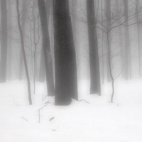 Winter - Single - shayn