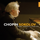 Preludes, Op. 28: No. 15 in D-Flat Major, Sostenuto