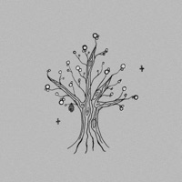 Honey Trees - Single - Nofeels