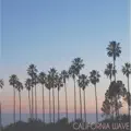 WAVE