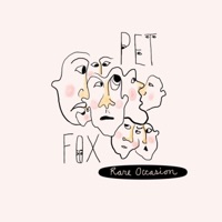 Album cover for Motive by Pet Fox