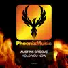 Austins Groove - Hold You Now (Edit)