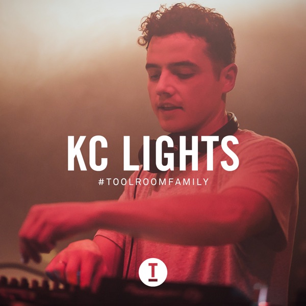 Toolroom Family (DJ Mix)